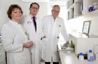 Das Forscherteam am Knappschaftskrankenhaus (v.l.): Dr. Susanne Klein-Scory, Dr. Alexander Baraniskin und Prof. Dr. Wolff Schmiegel